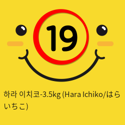 하라 이치코-3.5kg (Hara Ichiko/はら いちこ)