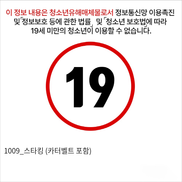 1009_스타킹 (카터벨트 포함)